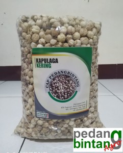 Kapulaga 1 kg